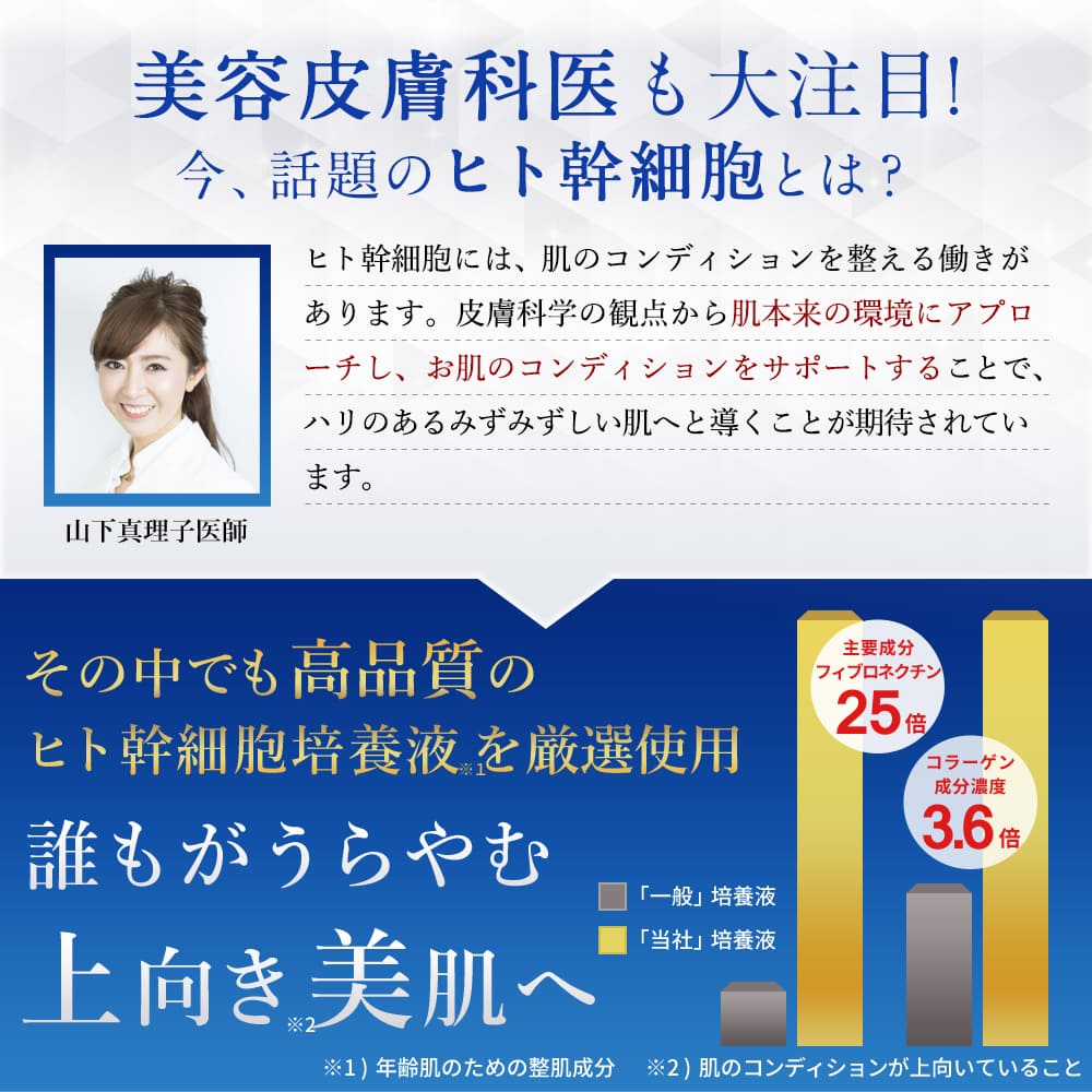 SC クリーム (単品)