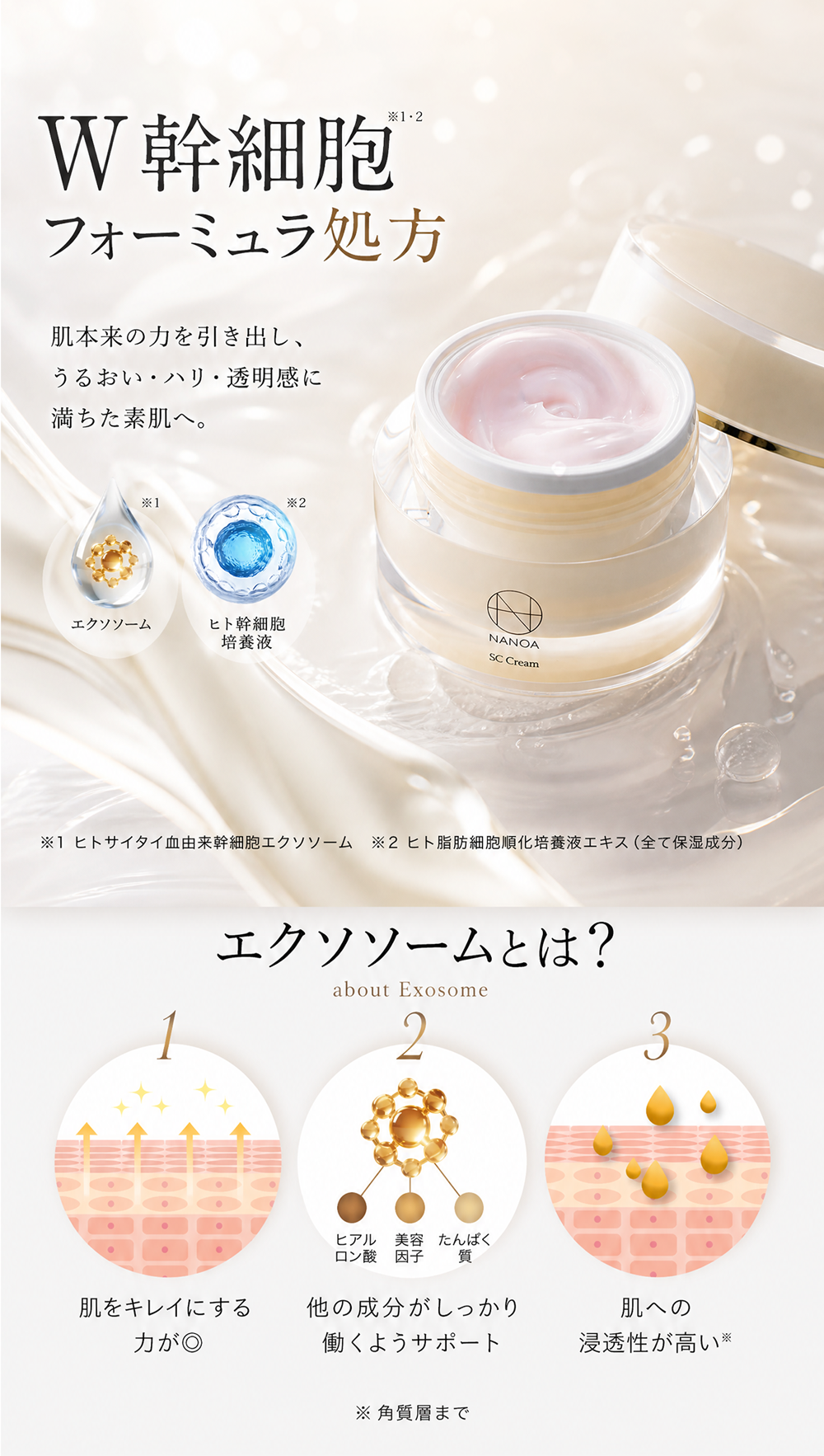 SC クリーム – 【公式オンラインストア】NANOA