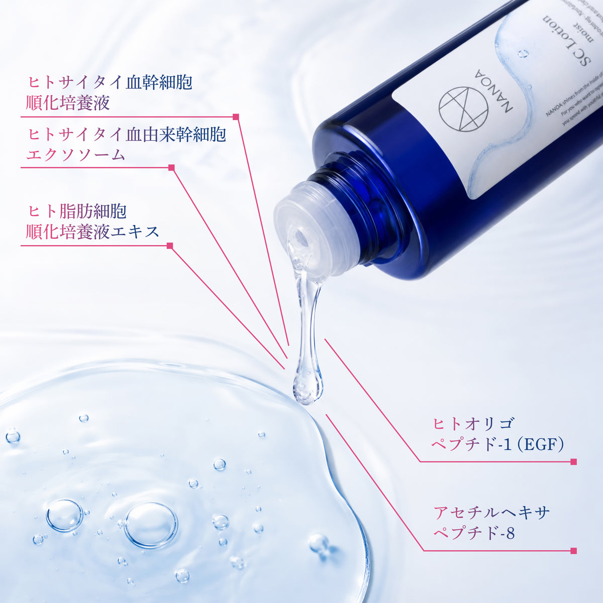 【NEW】SC ローション〈モイスト〉